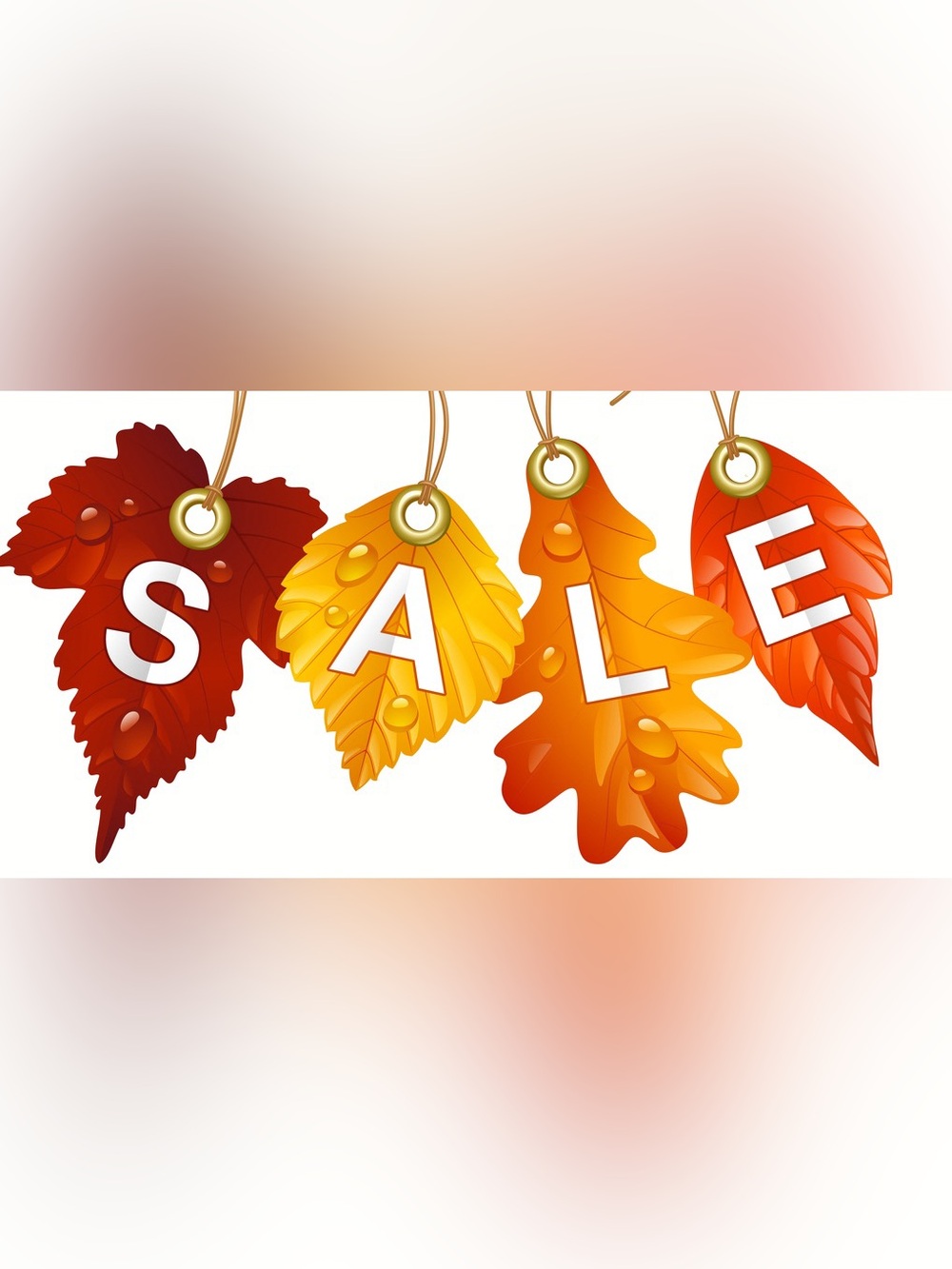 📣 FALL $ALE‼️‼️‼️ 🚨 🍁🍂🍃 - Picture 5 of 7